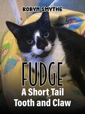 cover image of Fudge